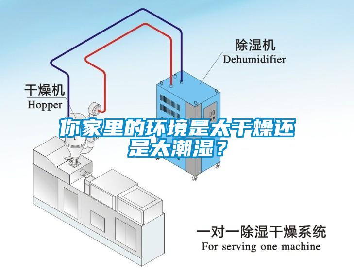 你家里的環境是太干燥還是太潮濕？