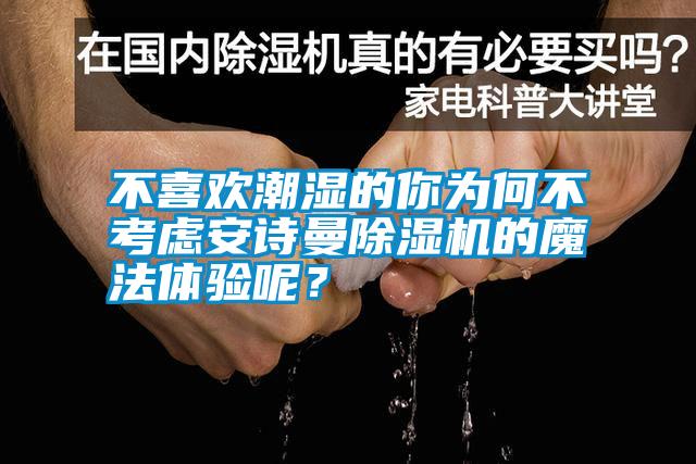 不喜歡潮濕的你為何不考慮安詩曼除濕機的魔法體驗呢？