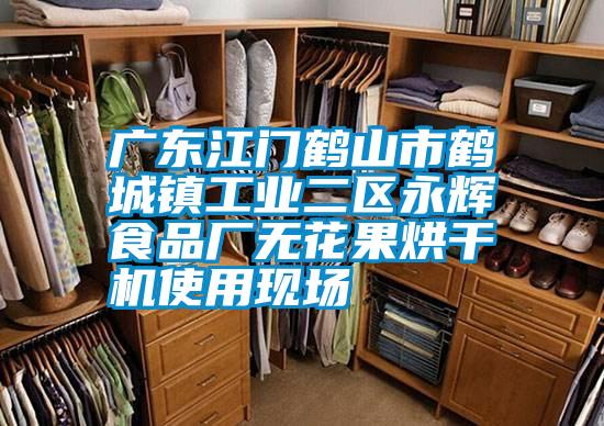 廣東江門鶴山市鶴城鎮工業二區永輝食品廠無花果烘干機使用現場