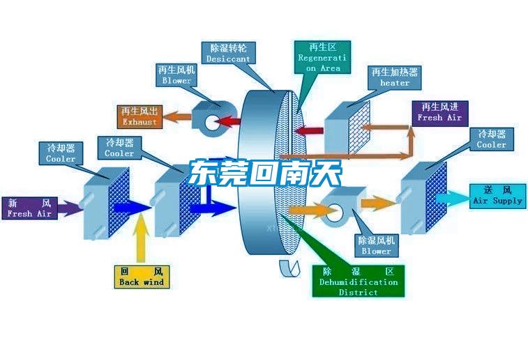 東莞回南天