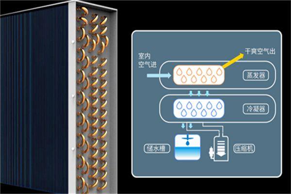 別墅為什么必須要考慮新風(fēng)除濕？