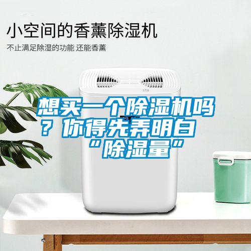 想買一個除濕機(jī)嗎？你得先弄明白“除濕量”