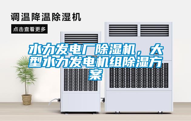 水力發電廠除濕機，大型水力發電機組除濕方案