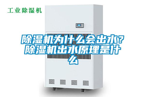 除濕機為什么會出水？除濕機出水原理是什么