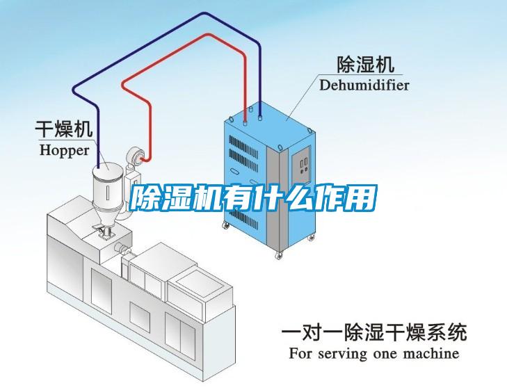 除濕機有什么作用