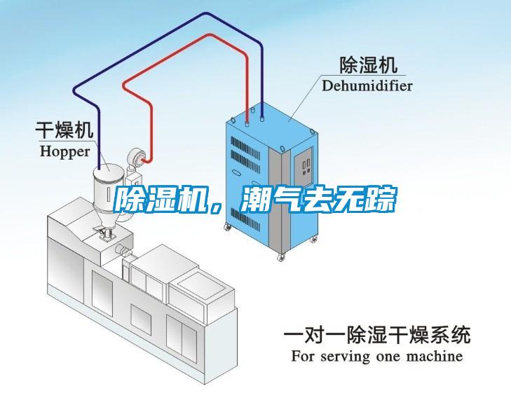 除濕機，潮氣去無蹤