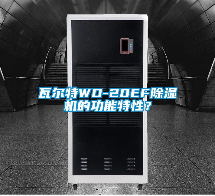 瓦爾特WD-20EF除濕機的功能特性？