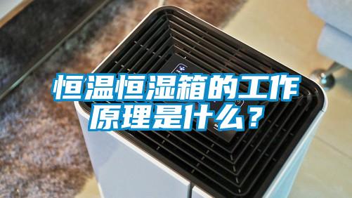 恒溫恒濕箱的工作原理是什么？