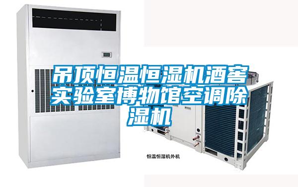 吊頂恒溫恒濕機酒窖實驗室博物館空調除濕機