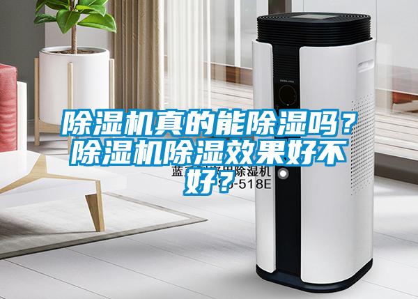 除濕機真的能除濕嗎？除濕機除濕效果好不好？