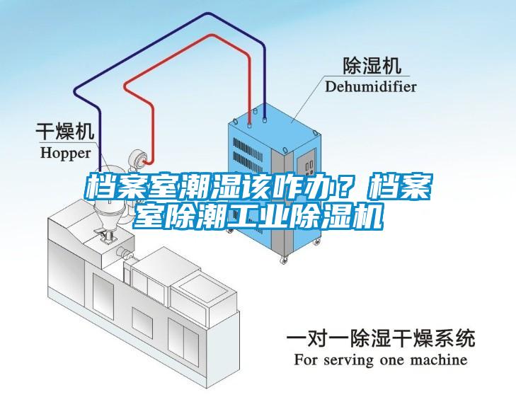 檔案室潮濕該咋辦？檔案室除潮工業除濕機