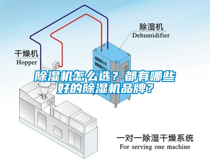 除濕機怎么選？都有哪些好的除濕機品牌？