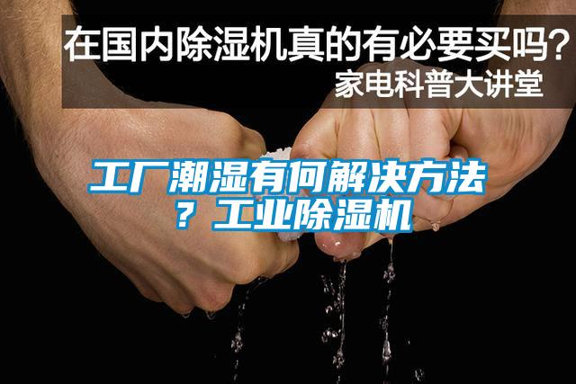 工廠潮濕有何解決方法？工業(yè)除濕機(jī)