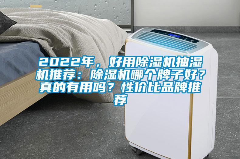 2022年，好用除濕機抽濕機推薦：除濕機哪個牌子好？真的有用嗎？性價比品牌推薦