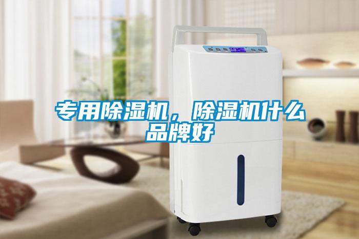 專用除濕機，除濕機什么品牌好