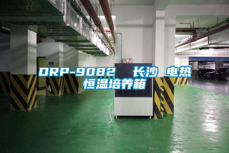 DRP-9082  長沙 電熱恒溫培養(yǎng)箱