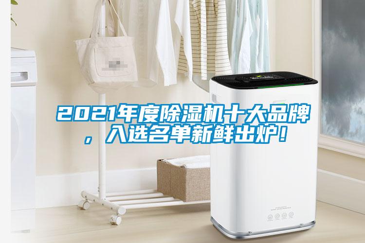 2021年度除濕機十大品牌，入選名單新鮮出爐！