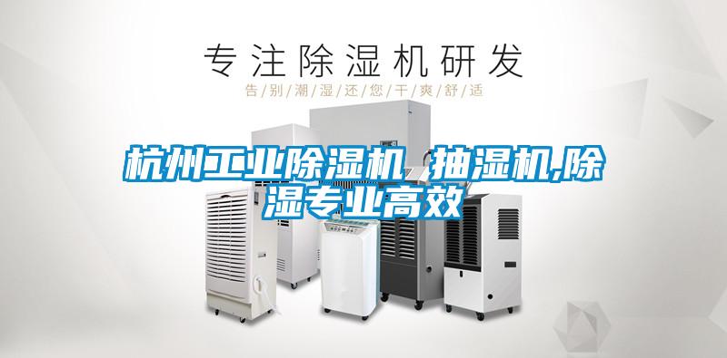 杭州工業除濕機 抽濕機,除濕專業高效