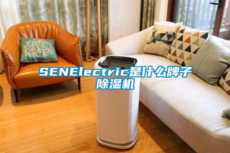 SENElectric是什么牌子除濕機