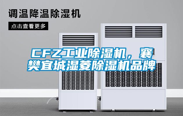 CFZ工業除濕機，襄樊宜城濕菱除濕機品牌