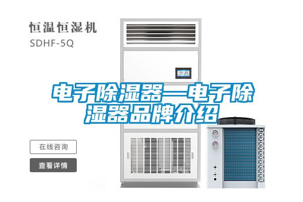 電子除濕器—電子除濕器品牌介紹