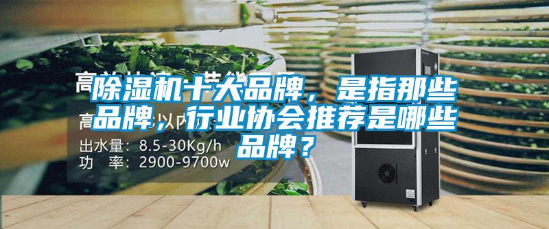 除濕機十大品牌，是指那些品牌，行業協會推薦是哪些品牌？