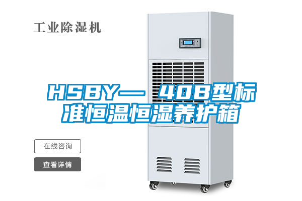 HSBY— 40B型標準恒溫恒濕養護箱