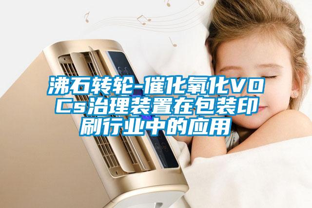 沸石轉輪-催化氧化VOCs治理裝置在包裝印刷行業中的應用