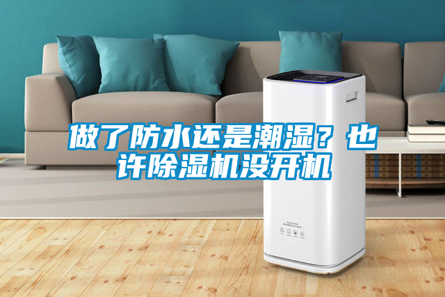 做了防水還是潮濕？也許除濕機沒開機