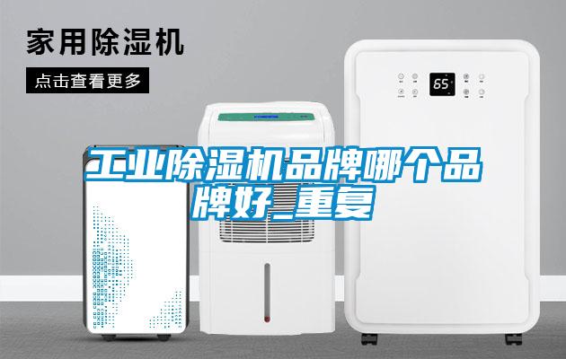 工業除濕機品牌哪個品牌好_重復