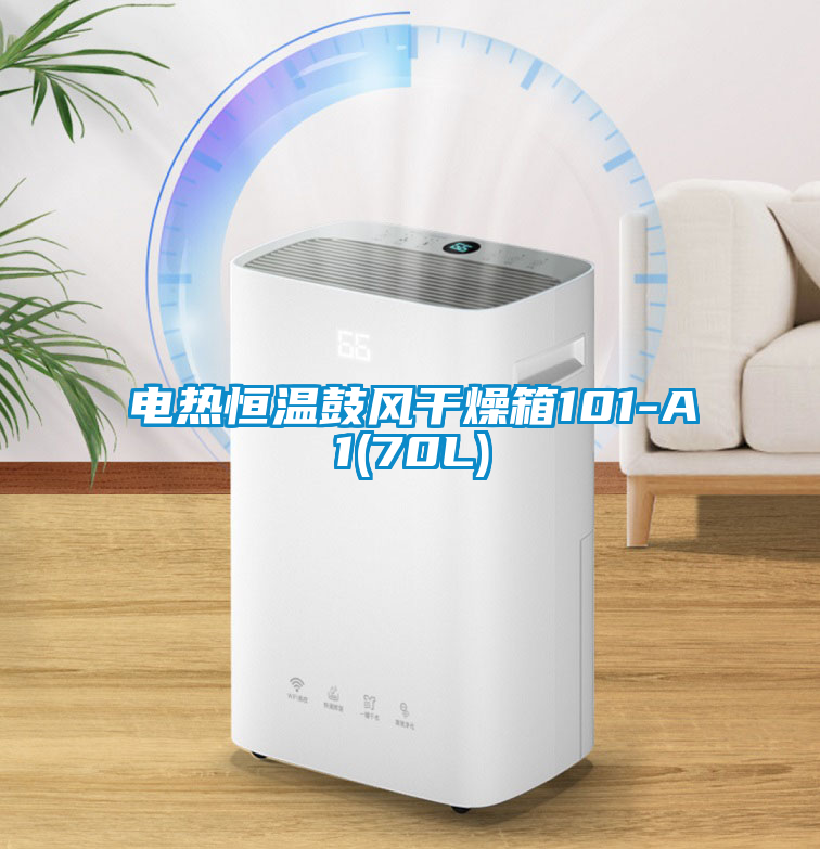 電熱恒溫鼓風(fēng)干燥箱101-A1(70L)