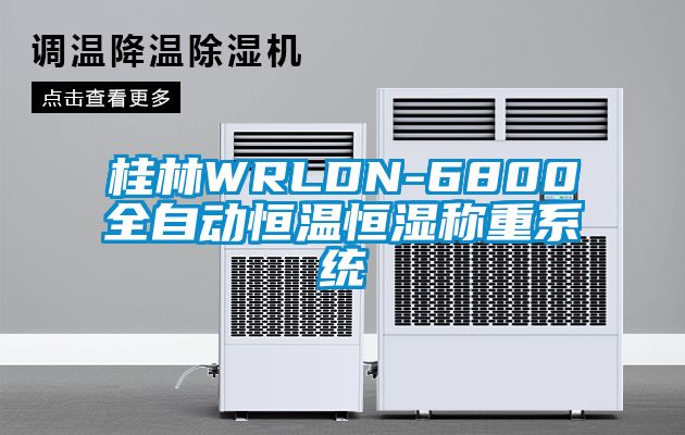 桂林WRLDN-6800全自動恒溫恒濕稱重系統