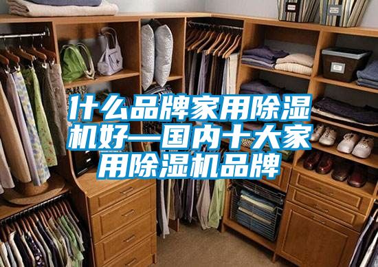 什么品牌家用除濕機(jī)好—國(guó)內(nèi)十大家用除濕機(jī)品牌