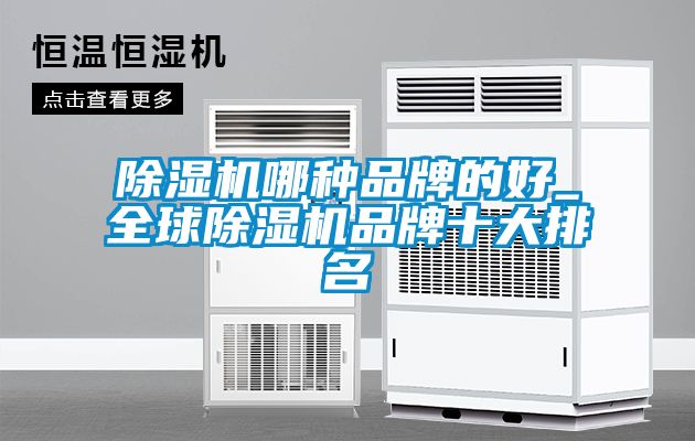 除濕機哪種品牌的好_全球除濕機品牌十大排名