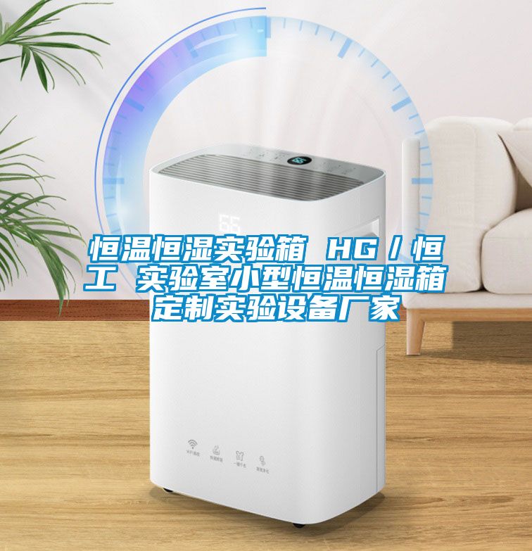 恒溫恒濕實驗箱 HG／恒工 實驗室小型恒溫恒濕箱 定制實驗設備廠家