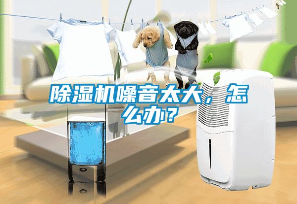 除濕機噪音太大，怎么辦？