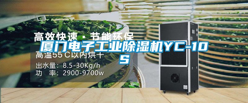 廈門電子工業除濕機YC-10S